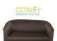 The Cowley Team